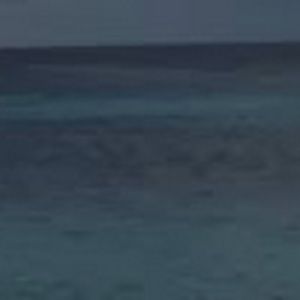 Meet your Posher, Sylvia